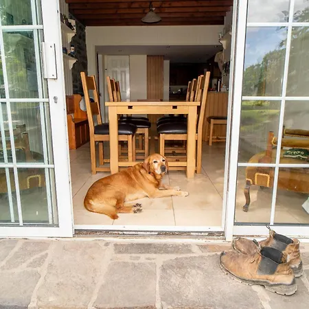 Willsgrove House Accommodatie bij particulieren Athy