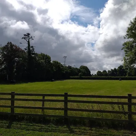 Accommodatie bij particulieren Willsgrove House Athy