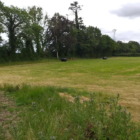 Accommodatie bij particulieren Willsgrove House Athy