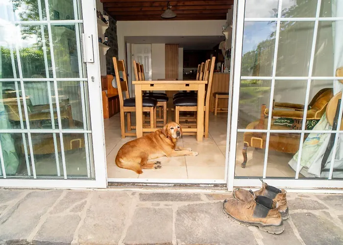 Willsgrove House Alloggio in famiglia Athy