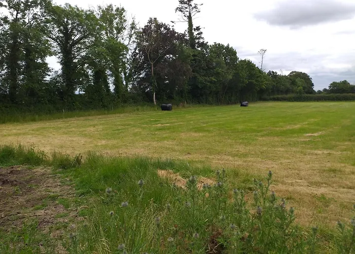 Alloggio in famiglia Willsgrove House Athy